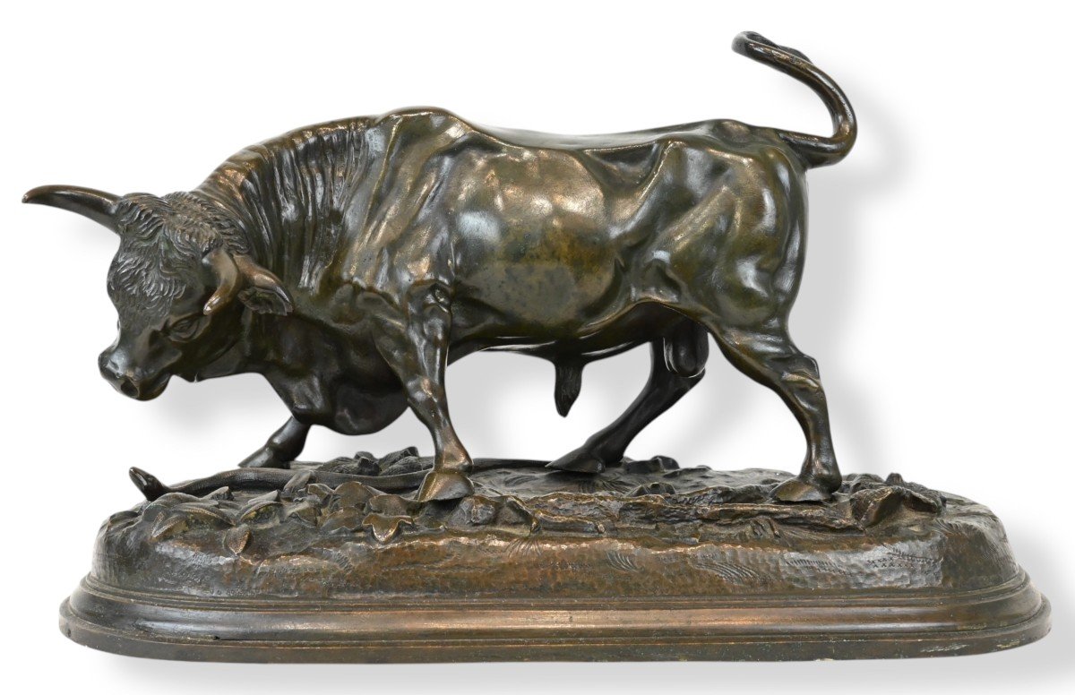 Toro in Bronzo - Scuola XIX Secolo